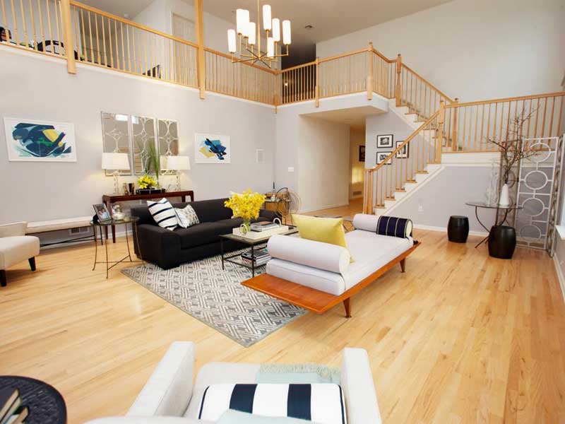 Modern Living Room with Black Sofa
