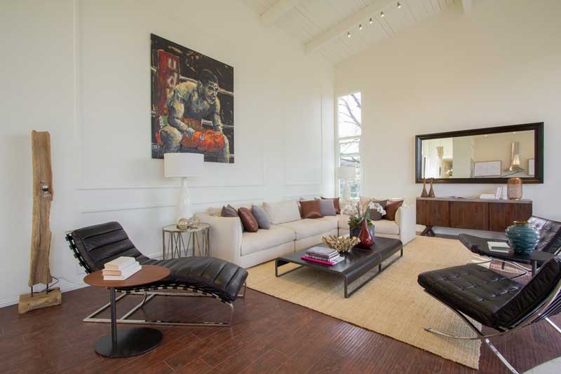 Modern Living Room with Cathedral Ceiling