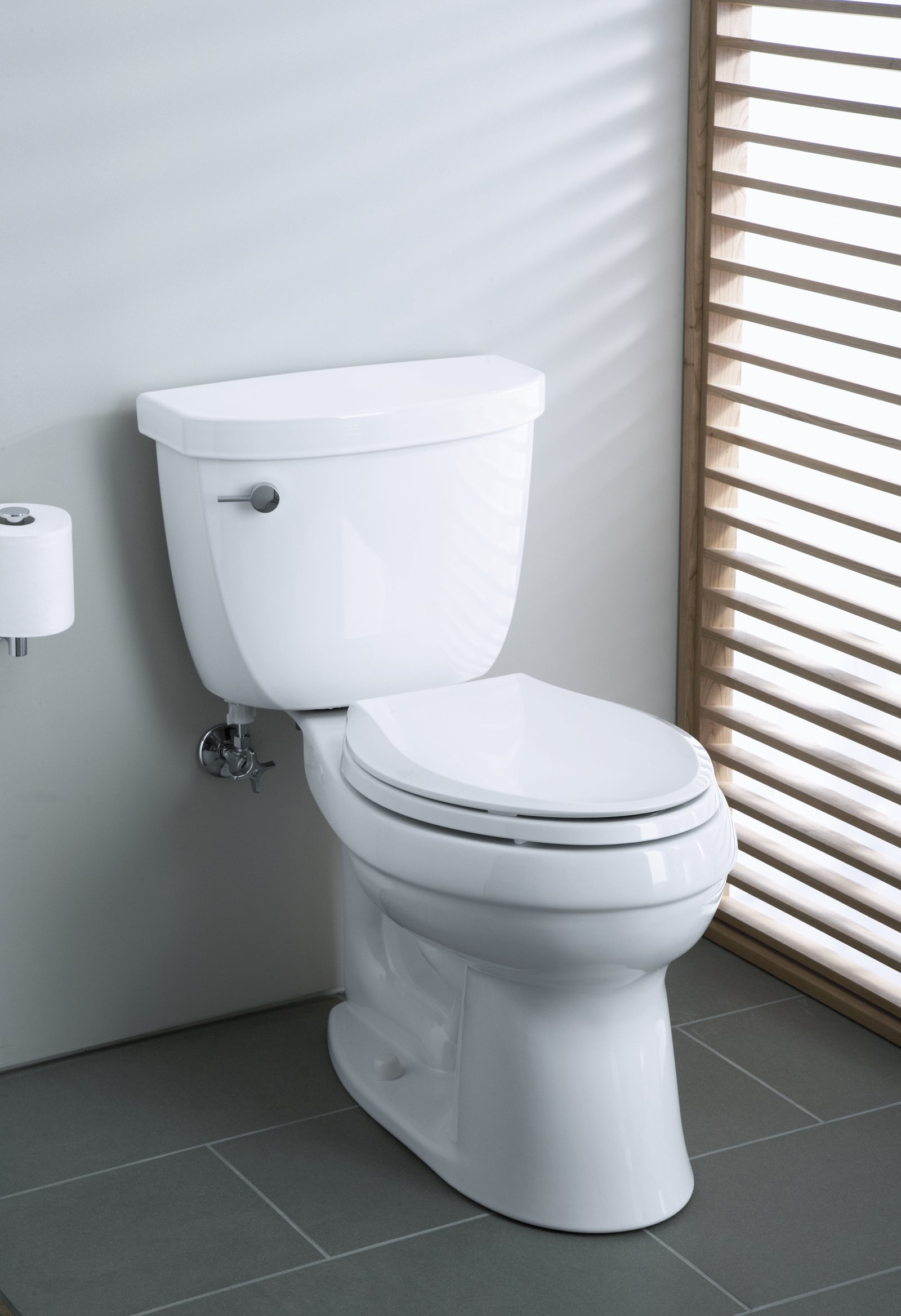 Kohler Cimarron Toilet Review