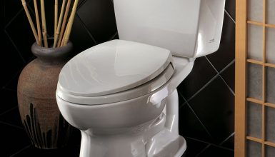 TOTO Drake Two Piece Elongated Toilet Review