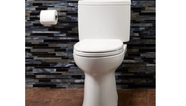 Toto Drake II Model CST454CEFG-01 Toilet Review