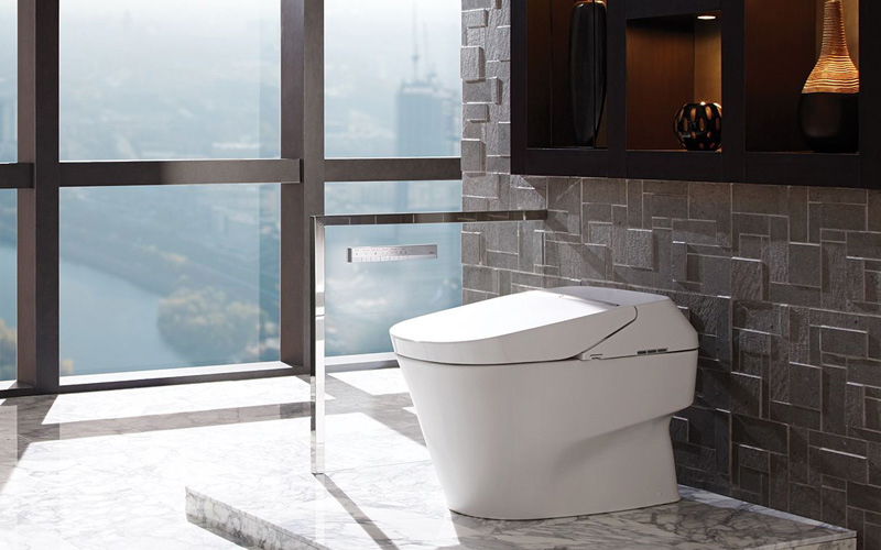 Toto Toilet Bidet Combo Neorest 700H Review