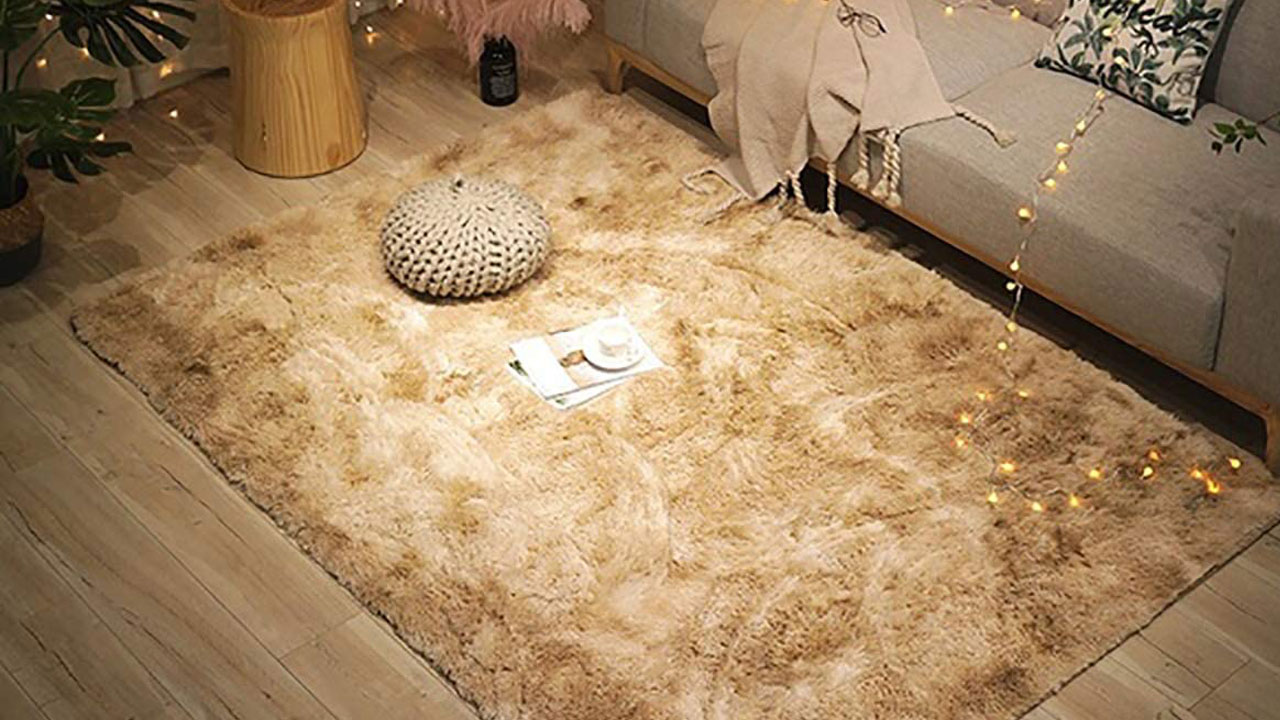 fluffy rugs for living room