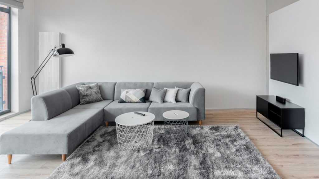 10 Best Rug Color for Gray Couches - Homeluf.com