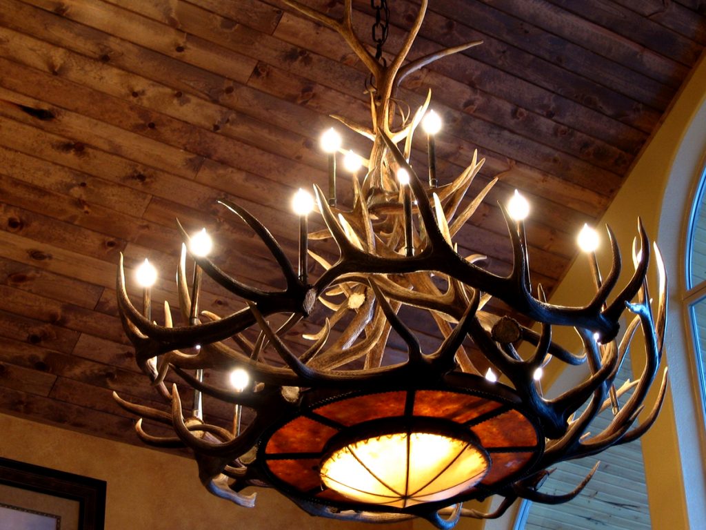 Antler Chandelier