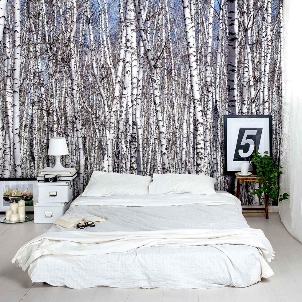 Birch Tree Wallpaper