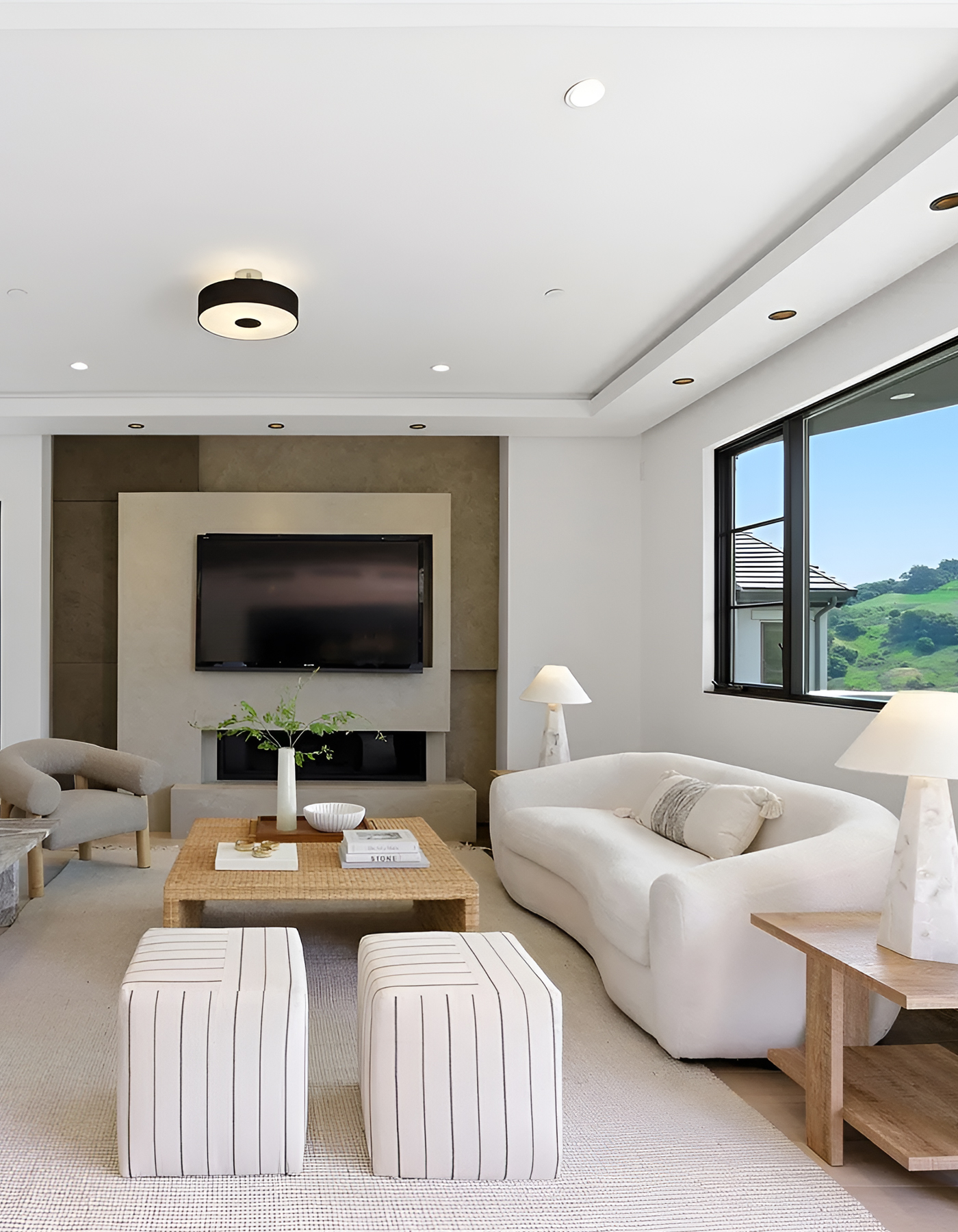 Contemporary Living Room
